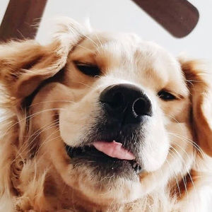 Meet your Posher, Delaney